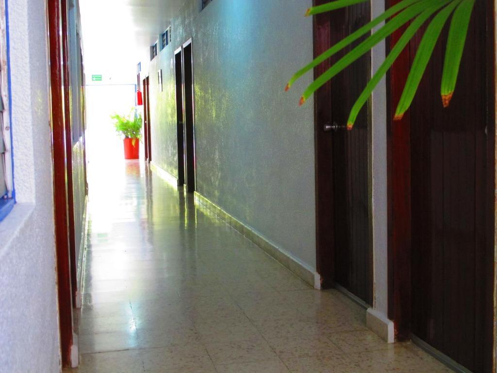 Hotel Acuario Катемако Экстерьер фото