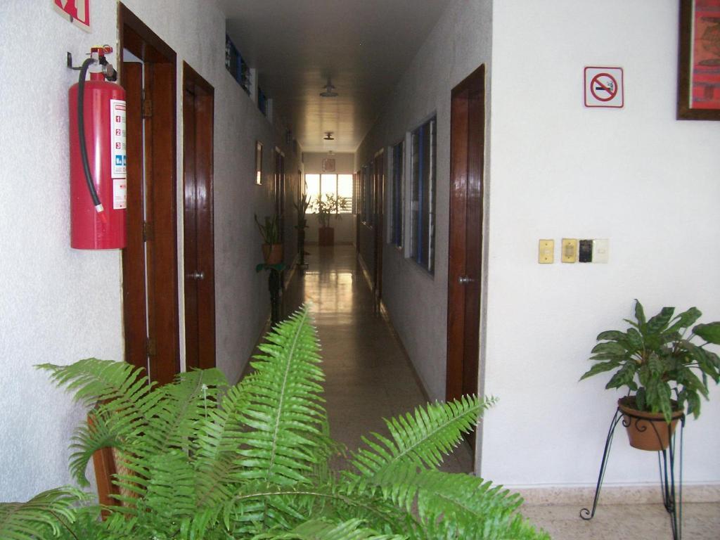 Hotel Acuario Катемако Экстерьер фото